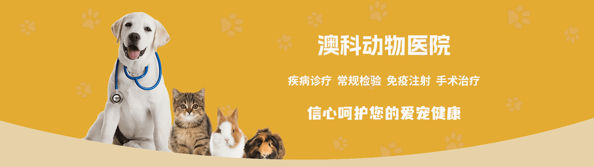 洛阳市洛龙区澳科动物医院